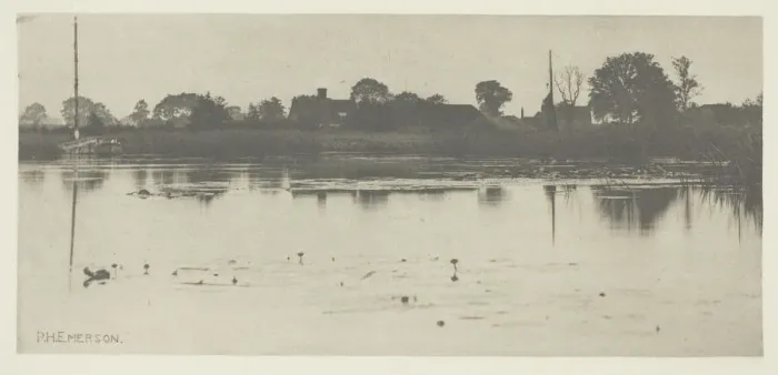 Framed Print : The Fringe of the Mere, c. 1883 / 87, printed 1888. Creator: Peter Henry Emerson Framed Print : The Fringe of the Mere, c. 1883 / 87, printed 1888. Creator: Peter Henry Emerson