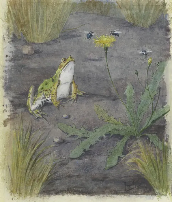 Framed Print : Frog by a Dandelion with Flies, c.1877-c.1938. Creator: Joan van Noort Framed Print : Frog by a Dandelion with Flies, c.1877-c.1938. Creator: Joan van Noort
