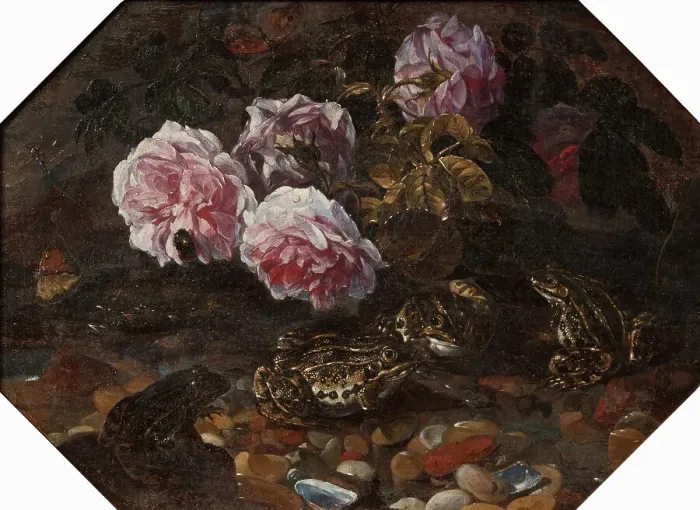 Framed Print : Frogs, Wild Roses, Shells and Butterflies, mid-late 17th century. Creator: Paolo Porpora Framed Print : Frogs, Wild Roses, Shells and Butterflies, mid-late 17th century. Creator: Paolo Porpora