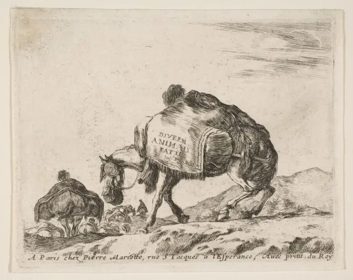 Framed Print : Frontispiece for Diversi Animali: Pack Horse, ca. 1641. Creator: Stefano della Bella Framed Print : Frontispiece for Diversi Animali: Pack Horse, ca. 1641. Creator: Stefano della Bella