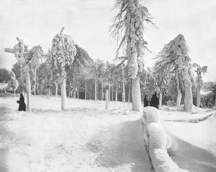 Framed Print : Frost Work in Prospect Park, Niagara, USA, c1900. Creator: Unknown Framed Print : Frost Work in Prospect Park, Niagara, USA, c1900. Creator: Unknown