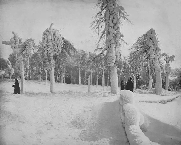 Framed Print : Frost Work in Prospect Park, Niagara, c1897. Creator: Unknown Framed Print : Frost Work in Prospect Park, Niagara, c1897. Creator: Unknown