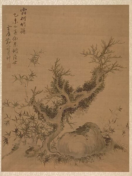 Frosted Branches and Dwarf Bamboo, in the Style of Su Shih, 1775. Creator: Zhai Dakun (Chinese, d