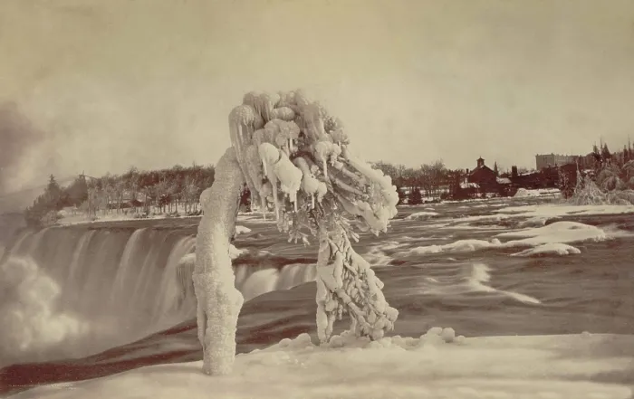 Framed Print : Frosted tree Luna Island. Creator: Unknown
