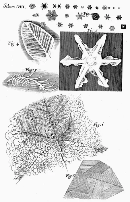 Framed Print : Frozen materials viewed by English microscopist Robert Hooke, 1665 Framed Print : Frozen materials viewed by English microscopist Robert Hooke, 1665
