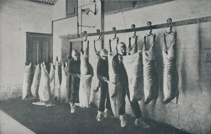 Framed Print : Frozen Meat, 1910 Framed Print : Frozen Meat, 1910