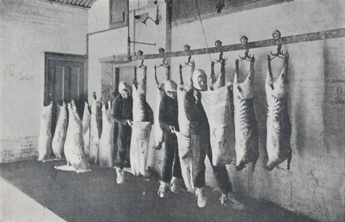 Framed Print : Frozen Meat, 1923. Creator: Unknown Framed Print : Frozen Meat, 1923. Creator: Unknown