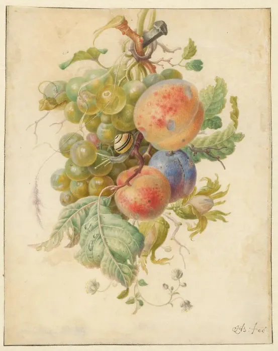 Framed Print : Fruit, 1677-1726. Creator: Herman Henstenburgh Framed Print : Fruit, 1677-1726. Creator: Herman Henstenburgh