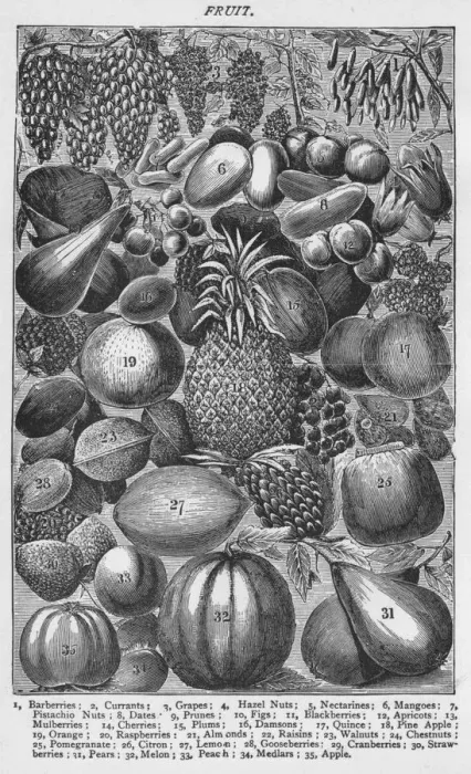 Framed Print : Fruit, 1907, (1907) Framed Print : Fruit, 1907, (1907)