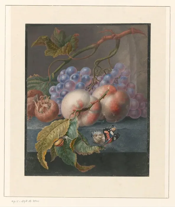 Framed Print : Fruit with a butterfly and a snail, 1677-1726. Creator: Herman Henstenburgh Framed Print : Fruit with a butterfly and a snail, 1677-1726. Creator: Herman Henstenburgh