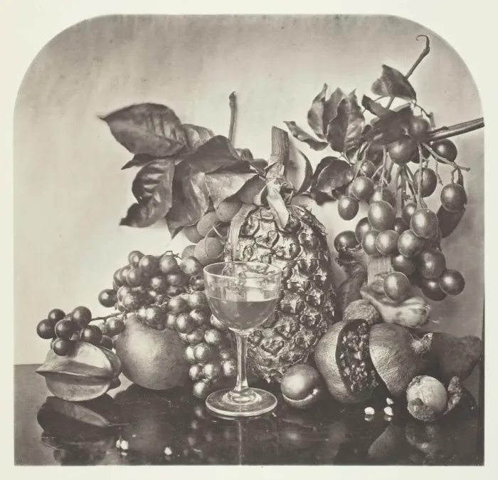 Framed Print : Fruit, c. 1868. Creator: John Thomson Framed Print : Fruit, c. 1868. Creator: John Thomson