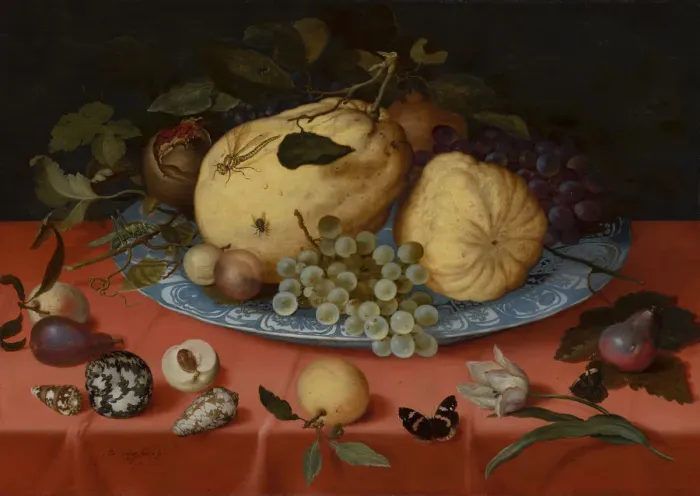 Framed Print : Fruit Still Life with Shells and Tulip, 1620 Framed Print : Fruit Still Life with Shells and Tulip, 1620