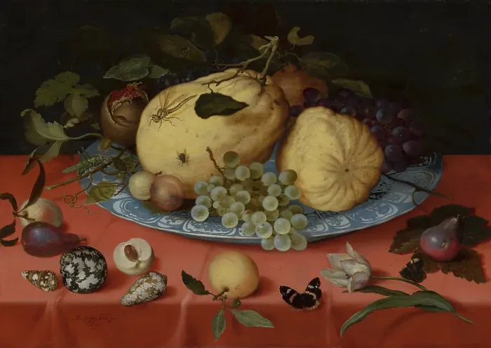 Framed Print : Fruit Still Life with Shells and Tulip, 1620. Creator: Balthasar van der Ast Framed Print : Fruit Still Life with Shells and Tulip, 1620. Creator: Balthasar van der Ast
