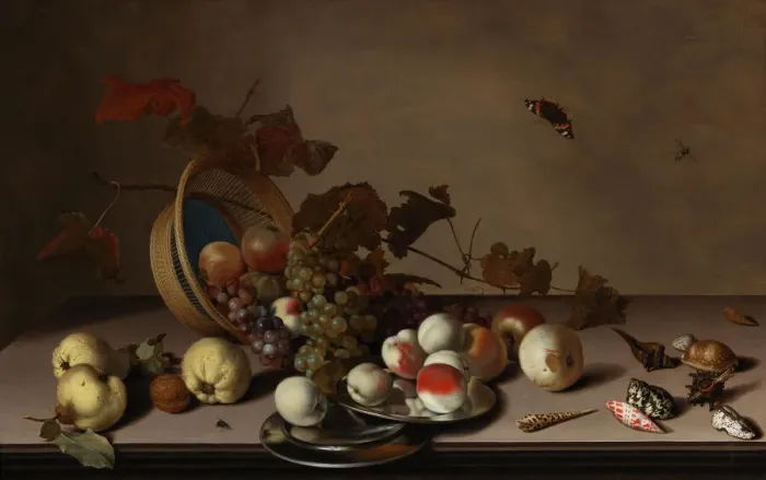Framed Print : Fruit still life with wicker basket, mussels and butterfly, First Half of 17th cen Framed Print : Fruit still life with wicker basket, mussels and butterfly, First Half of 17th cen