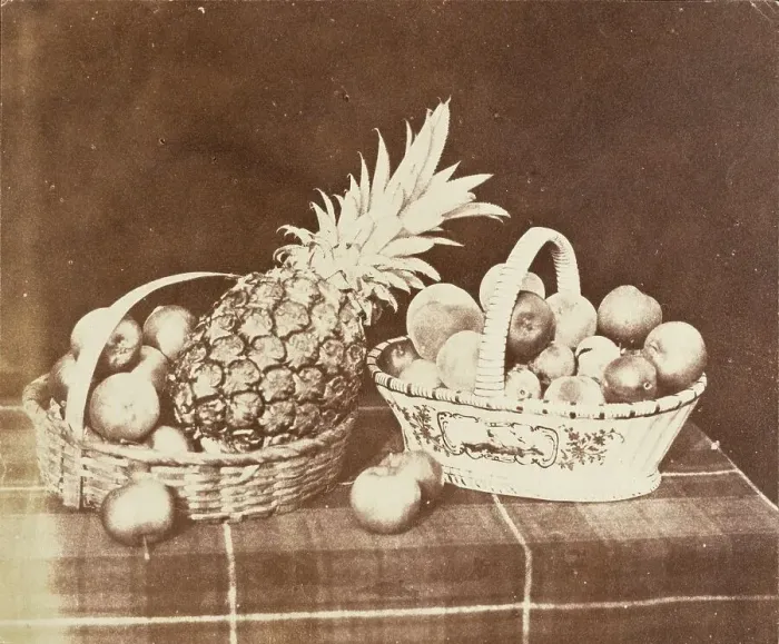 Framed Print : A Fruit Piece, Printed 1844-1846. Creator: William Henry Fox Talbot Framed Print : A Fruit Piece, Printed 1844-1846. Creator: William Henry Fox Talbot