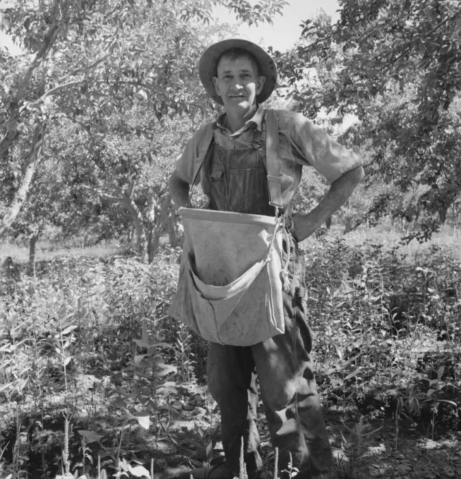 Framed Print : Fruit tramp, Yakima Valley, Wahington, 1939. Creator: Dorothea Lange Framed Print : Fruit tramp, Yakima Valley, Wahington, 1939. Creator: Dorothea Lange