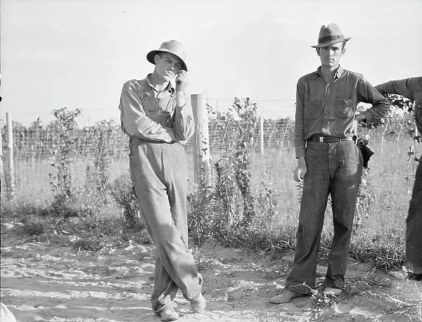 FSA cooperative farm, Lake Dick, Arkansas, 1939. Creator: Dorothea Lange
