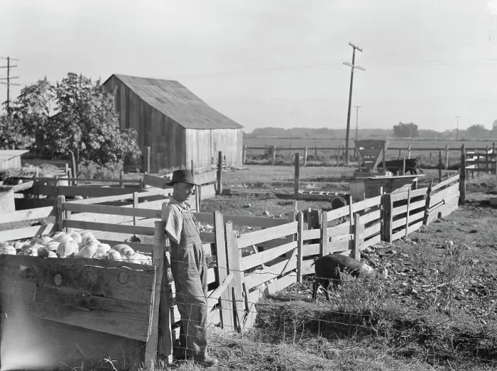 Framed Print : FSA rural rehabilitation client, Tulare County, California, 1938. Creator: Dorothea Lange Framed Print : FSA rural rehabilitation client, Tulare County, California, 1938. Creator: Dorothea Lange