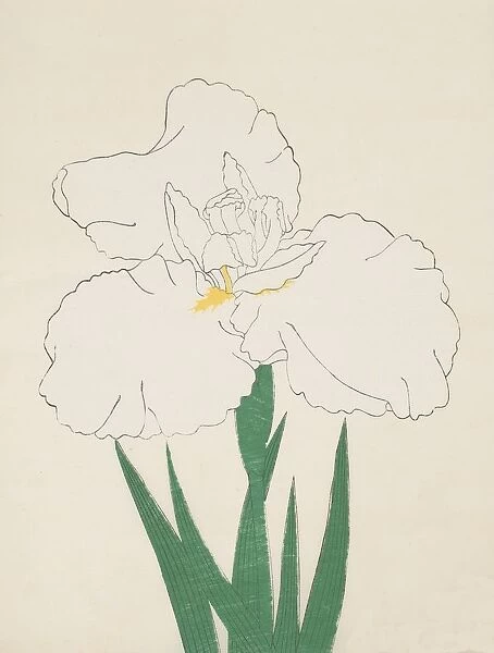 Fuji-No-Yuki, No. 13, 1890, (colour woodblock print)