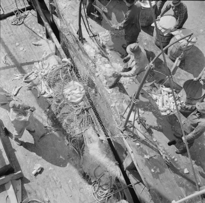 Framed Print : Fulton fish market dock stevedores unloading and weighing fish in the early morning, New York, 1943. Creator: Gordon Parks Framed Print : Fulton fish market dock stevedores unloading and weighing fish in the early morning, New York, 1943. Creator: Gordon Parks