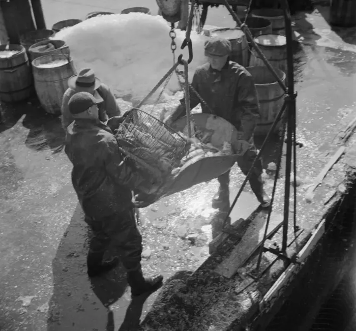 Framed Print : Fulton fish market dock stevedores unloading and weighing fish in the early morning, New York, 1943. Creator: Gordon Parks Framed Print : Fulton fish market dock stevedores unloading and weighing fish in the early morning, New York, 1943. Creator: Gordon Parks