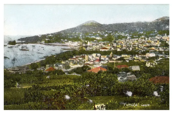 Framed Print : Funchal, Madeira, early 20th century(?) Framed Print : Funchal, Madeira, early 20th century(?)