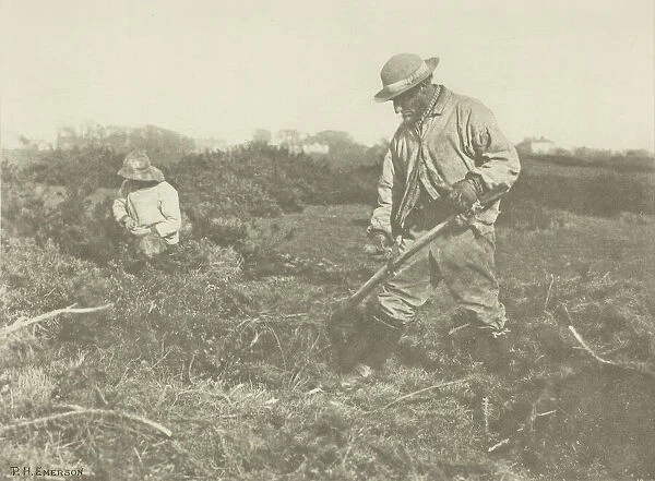 Furze-Cutting on a Suffolk Common, c. 1883  /  87, printed 1888. Creator: Peter Henry Emerson