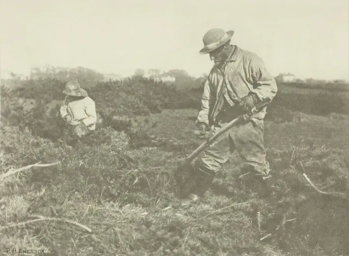 Framed Print : Furze-Cutting on a Suffolk Common, c. 1883 / 87, printed 1888. Creator: Peter Henry Emerson Framed Print : Furze-Cutting on a Suffolk Common, c. 1883 / 87, printed 1888. Creator: Peter Henry Emerson