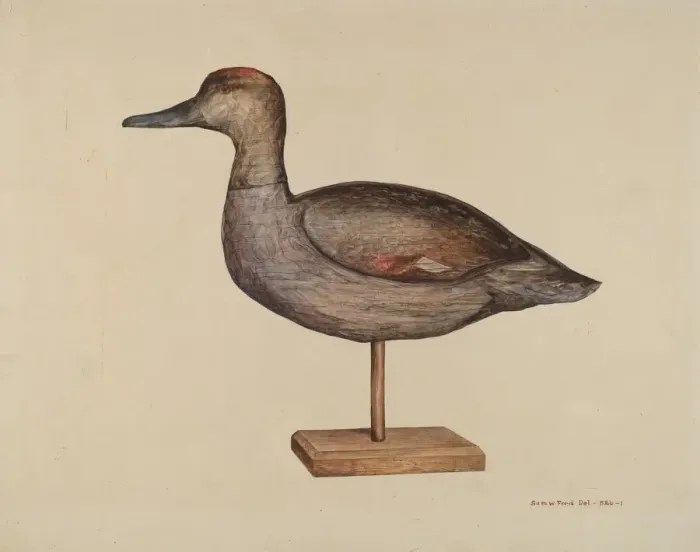 Framed Print : Gadwall Decoy, c. 1939. Creator: Samuel W. Ford Framed Print : Gadwall Decoy, c. 1939. Creator: Samuel W. Ford