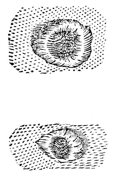 Galileos drawing of lunar craters, 1611, (c1655)