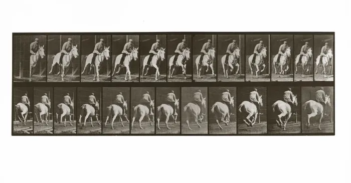 Framed Print : Galloping Horse with Rider, Plate 635 from Animal Locomotion, 1887 (photograph) Framed Print : Galloping Horse with Rider, Plate 635 from Animal Locomotion, 1887 (photograph)