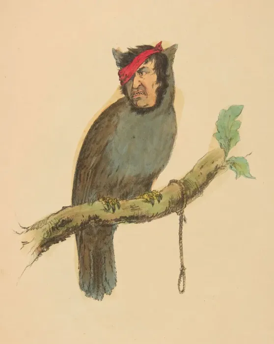 Framed Print : Gallows Bird, from The Comic Natural History of the Human Race, 1851 Framed Print : Gallows Bird, from The Comic Natural History of the Human Race, 1851