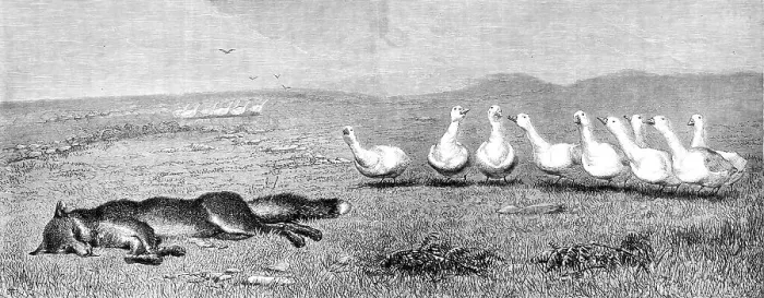 Framed Print : A Game of Fox and Geese, by B. Riviere, 1870. Creator: Unknown