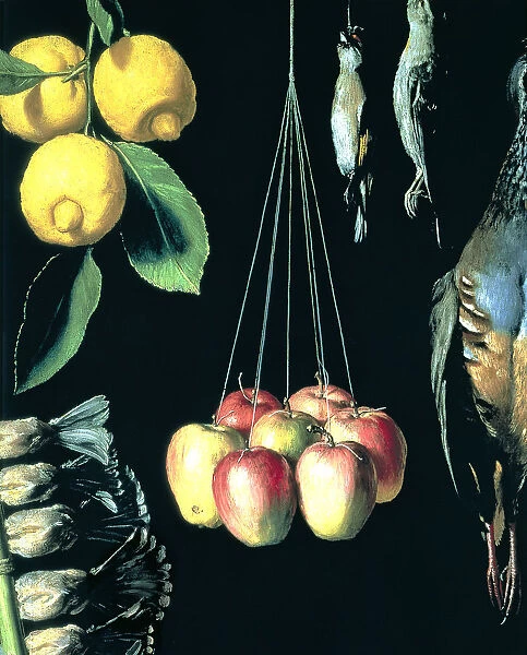 Game, fruits and vegetables, 1602, detail. Work by Juan Sanchez Cotan