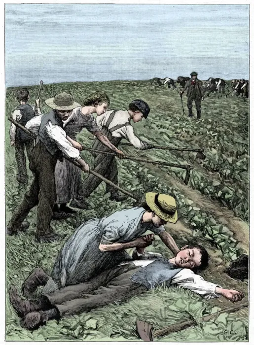 Framed Print : Gang system of child labour, c1885 Framed Print : Gang system of child labour, c1885
