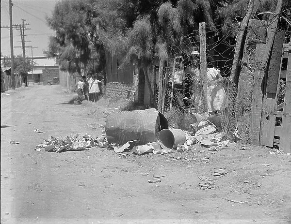 Garbage disposal, Brawley, Imperial Valley, California, 1935. Creator: Dorothea Lange