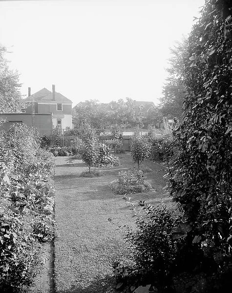 Garden at 124 E. Euclid Avenue, Detroit, Mich. between 1905 and 1915. Creator: Unknown