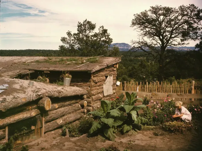 Framed Print : Garden adjacent to the dugout home of Jack Whinery, homesteader, Pie Town, New Mexico, 1940. Creator: Russell Lee Framed Print : Garden adjacent to the dugout home of Jack Whinery, homesteader, Pie Town, New Mexico, 1940. Creator: Russell Lee