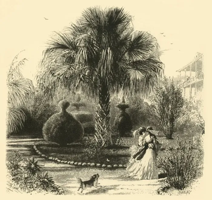 Framed Print : A Garden in Charleston, 1872. Creator: John J. Harley Framed Print : A Garden in Charleston, 1872. Creator: John J. Harley