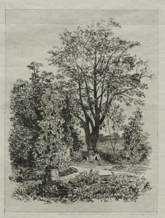 Framed Print : My Garden. Creator: Maxime Lalanne (French, 1827-1886) Framed Print : My Garden. Creator: Maxime Lalanne (French, 1827-1886)