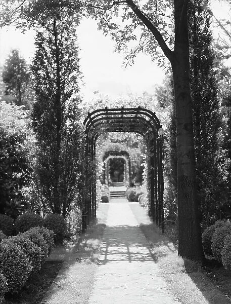 Garden, East Hampton, Long Island, between 1933 and 1942. Creator: Arnold Genthe