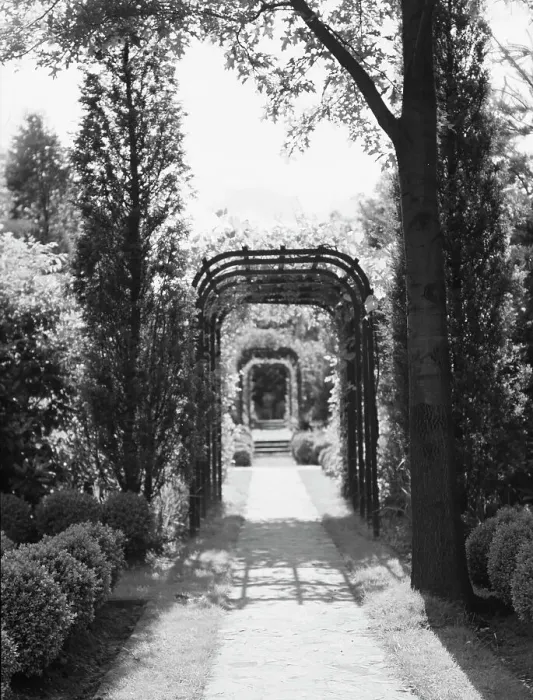 Framed Print : Garden, East Hampton, Long Island, between 1933 and 1942. Creator: Arnold Genthe Framed Print : Garden, East Hampton, Long Island, between 1933 and 1942. Creator: Arnold Genthe