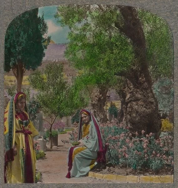 In the Garden of Gethsemane, c1900