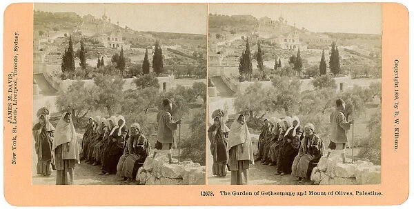 The garden of Gethsemane and the Mount of Olives, Palestine, 1898. Artist: BW Kilburn