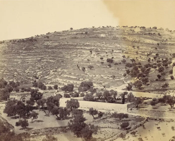 Framed Print : Garden of Gethsemane and the Tomb of the Virgin, Jerusalem, 1860s. Creator: John Anthony Framed Print : Garden of Gethsemane and the Tomb of the Virgin, Jerusalem, 1860s. Creator: John Anthony