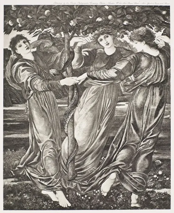 Framed Print : The Garden of the Hesperides, c1860s, (1900). Creator: Unknown Framed Print : The Garden of the Hesperides, c1860s, (1900). Creator: Unknown