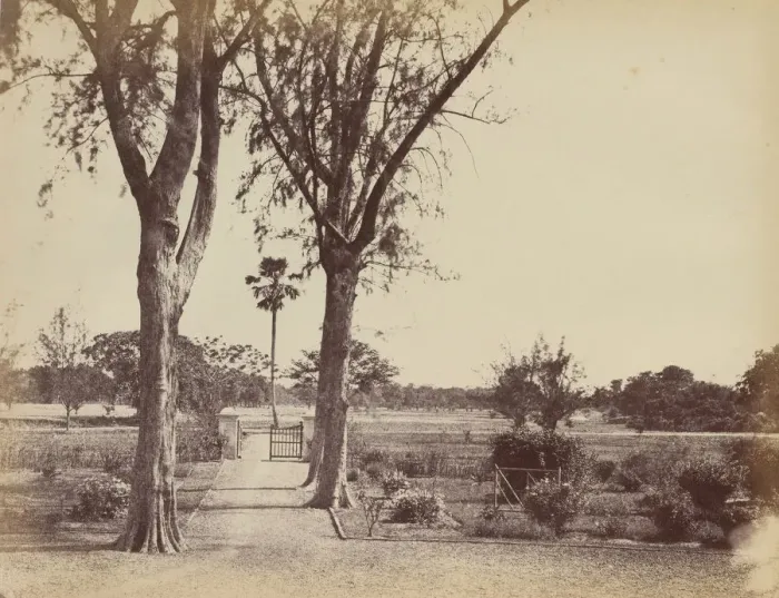 Framed Print : Garden in Indigo Districts, 1850s. Creator: Captain R. B. Hill Framed Print : Garden in Indigo Districts, 1850s. Creator: Captain R. B. Hill