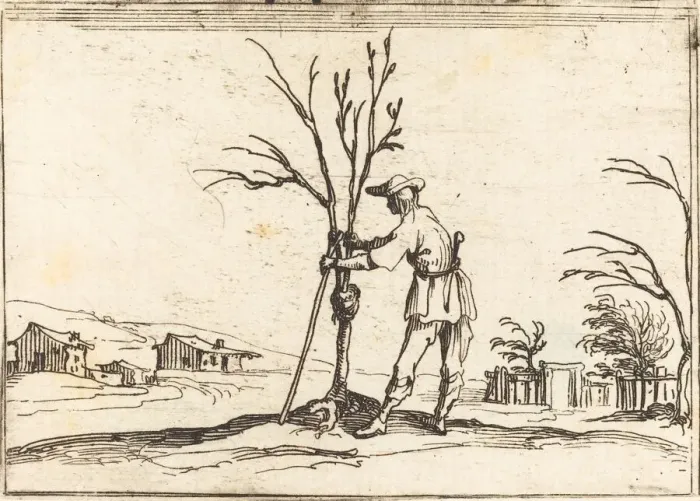 Framed Print : Gardener Pruning a Tree, 1628. Creator: Jacques Callot Framed Print : Gardener Pruning a Tree, 1628. Creator: Jacques Callot