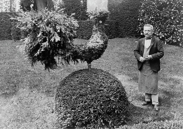 Gardener standing alongside shrub trimmed into shape of a rooster, in garden at Villa... 1925. Creator: Frances Benjamin Johnston