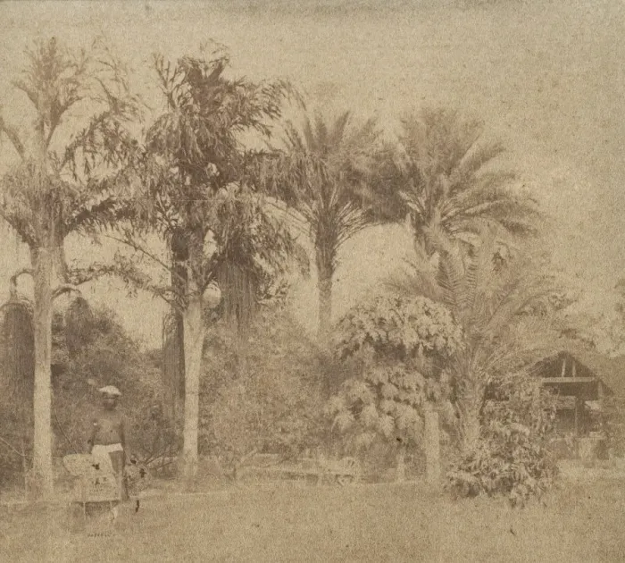 Framed Print : [Gardens, Government House, Allahabad], 1858. Creator: John Constantine Stanley